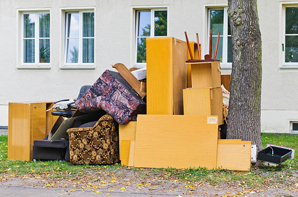 Best Electronics Removal Services  in North Alamo, TX
